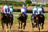 Fototapeta Boho - Horses race
