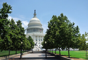 Wall Mural - View of the United States Capitol building and walkway, in Washington DC