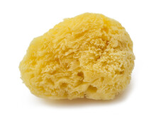 Natural Yellow Sponge