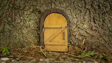 Little Wooden Fairy Tale Door In A Tree Trunk. Fairytale Forest House. Little Rustic Wooden Fairy Door In Tree Trunk