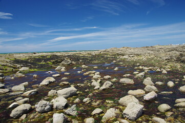 Sticker - plage de l'herbaudière