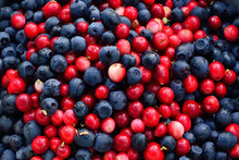 Ripe Cranberries And Blueberries Close-up. Natural Background