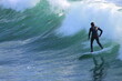 © TSZ Enterprises - Santa Cruz in December