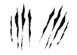 Claws  scratches isolated on white background. Print claw marks, tiger, bear or monster. Scratches, horror concept. Claws marks of a monster or wild beast. Vector illustration