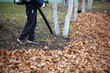 © Олег Копьёв - Cleaning leaves in the garden. The gardener is fanning the foliage.
