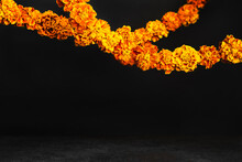 Marigold Flowers Garlands On Black. Dia De Los Muertos Day, Day Of The Dead Or Halloween Background, Copy Space