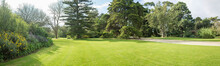 Panoramic View Of A Large Formal Garden Landscaping With Well-tended Neat Lawn And A Variety Of Trees, Flower Beds And Walkway. Background Texture Of Grass And Tall Trees In A Park On A Sunny Day.