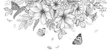 Hand Drawn  Wild Flowers  And  Flying Butterflies