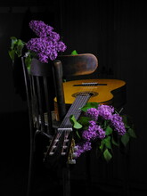 Lilac And Guitar On A Wooden Table. Black Background.