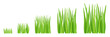 © ilyakalinin - Grass growth stages. Lawn mowing. Ripening cut period. Vector infographic.