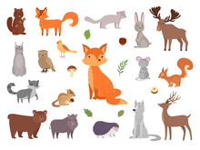 Cute Wild Animals. Vector Forest Animals Collection Fox Bear Owl Vector Pictures Set. Illustration Forest Bear And Rabbit, Collection Wildlife Squirrel And Hedgehog