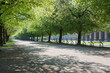 München: Joggen durch den idyllischen und leeren Hofgarten mit blühenden Linden Bäumen entlang der Residenz während der Corona Virus Pandemie 