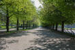 München: Spaziergang durch den idyllischen und leeren Hofgarten mit blühenden Linden Bäumen entlang der Residenz während der Corona Virus Pandemie 