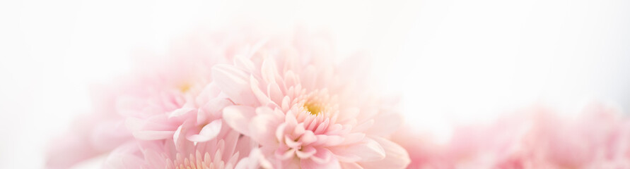 nature of pink flower in garden using as cover page background natural flora wallpaper or template b
