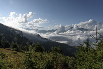 Poster - Rocky mountain peak of the Alps, emerging from the clouds, seen above the clouds, from the ridge of the mountain opposite, between the grass and the trees,