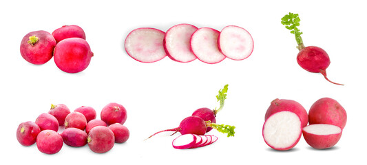 Wall Mural - Fresh garden radish isolated on white background