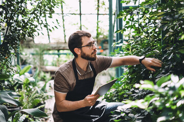 Young man gardener in glasses and apron with digital tablet working in a garden center for better quality control. Environmentalist using digital tablet in greenhouse.