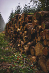 Sticker - Vertical shot of firewood