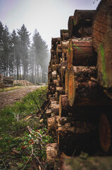 Sticker - Vertical shot of firewood