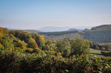 Sticker - Aerial shot of a forest in Morvan, France on a sunny day