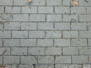 grey rectangular tiles-paving stones with autumn leaves