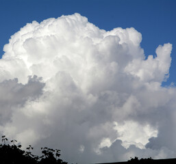 Cumulus Cloud On A Showery Day, Essex, England, UK