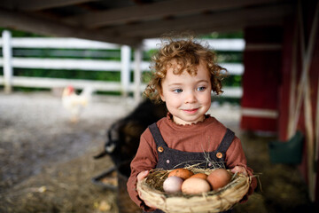 Wall Mural - Portrait of small girl standing on farm, holding basket with eggs.