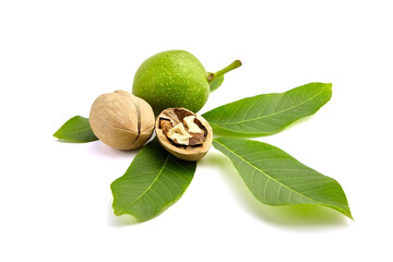 Wall Mural - Walnuts - dry and unripe, isolated on white background