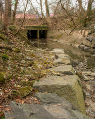 Wall Mural - A Dark Tunnel in a Shallow Creek in an Autumn Forest