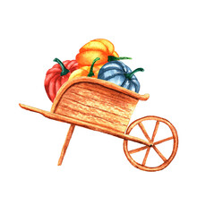 Wooden Garden Wheelbarrow With Pumpkins. Isolated On A White Background. Watercolor Illustration