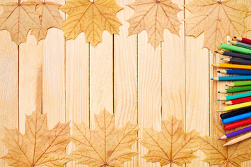Wall Mural - back to school concept. education and study stationery on a wooden desk. above view. decorated with yellow maple leaves