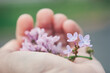 © Deirdre Malfatto/Stocksy - hand holding purple lilac flower