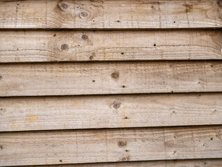 wood texture background