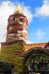 Wall Mural - Tower entwined with red ivy. Ravello,Italy