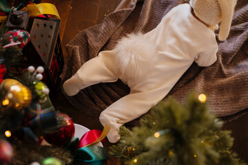 A newborn baby lies on a blanket near the Christmas tree in a rabbit costume tail up, face down. A kid in a rabbit costume crawls on the veil.