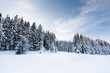 © Robert Kohlhuber/Stocksy - Forest in winter landscape