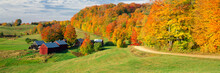 Fall Foliage Surrounding Red Barns At Jenne Farm In South Woodstock, Vermont, New England, North America