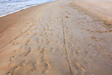 Canvas Print - footprints in the sand