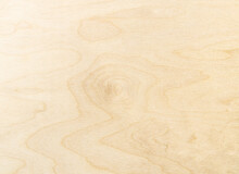 Birch Plywood Surface Texture