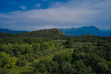 Aerial view of olive trees lake garda italy. In the background Lake Garda, mountains and Rocca di Manerba