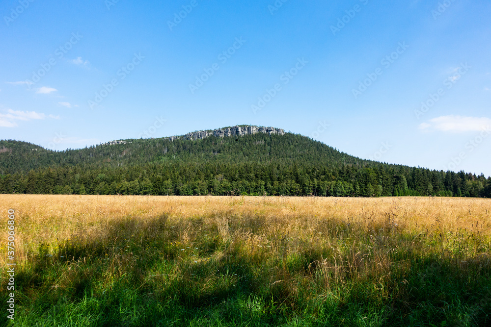 Góra wzgórze pagórek pole łąka las - obrazy, fototapety, plakaty 