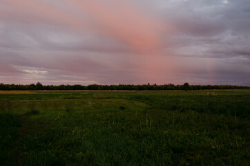 Wall Mural - evening field and sky in august