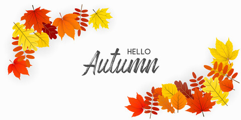 Wall Mural - autumn fall leaf decoration. vector illustration