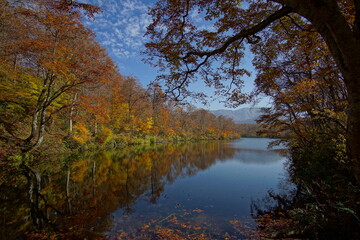  Beautiful lake reflection in autumn landscape at Northern Alps of Japan, Otari, Nagano