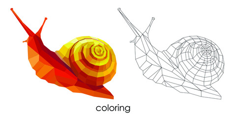 Wall Mural - coloring polygonal snail low poly vector