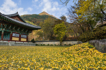 The beautiful and colorful autumn landscape of temple background autumn colored mountain and blue sky.