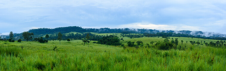 Wall Mural - wide panoramic view of meadow and mountains national park, thailand.