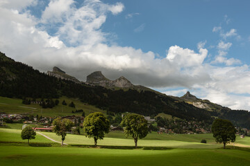 Leysin's nature and Tour d'Ai and Tour de Mayen in the background 