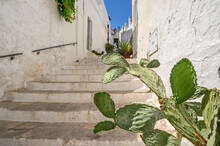 Ostuni, Bari, Italy
August 2020, Ostuni Is Called The White City, People Come To Visit This Old Typical City Of The Apulia Region.