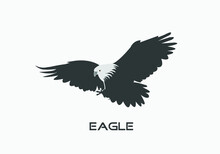 Black White Flying Eagle Logo Design, Vector Illustration